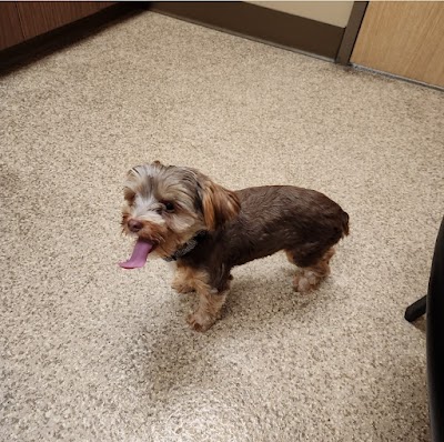 Oakview Animal Hospital
